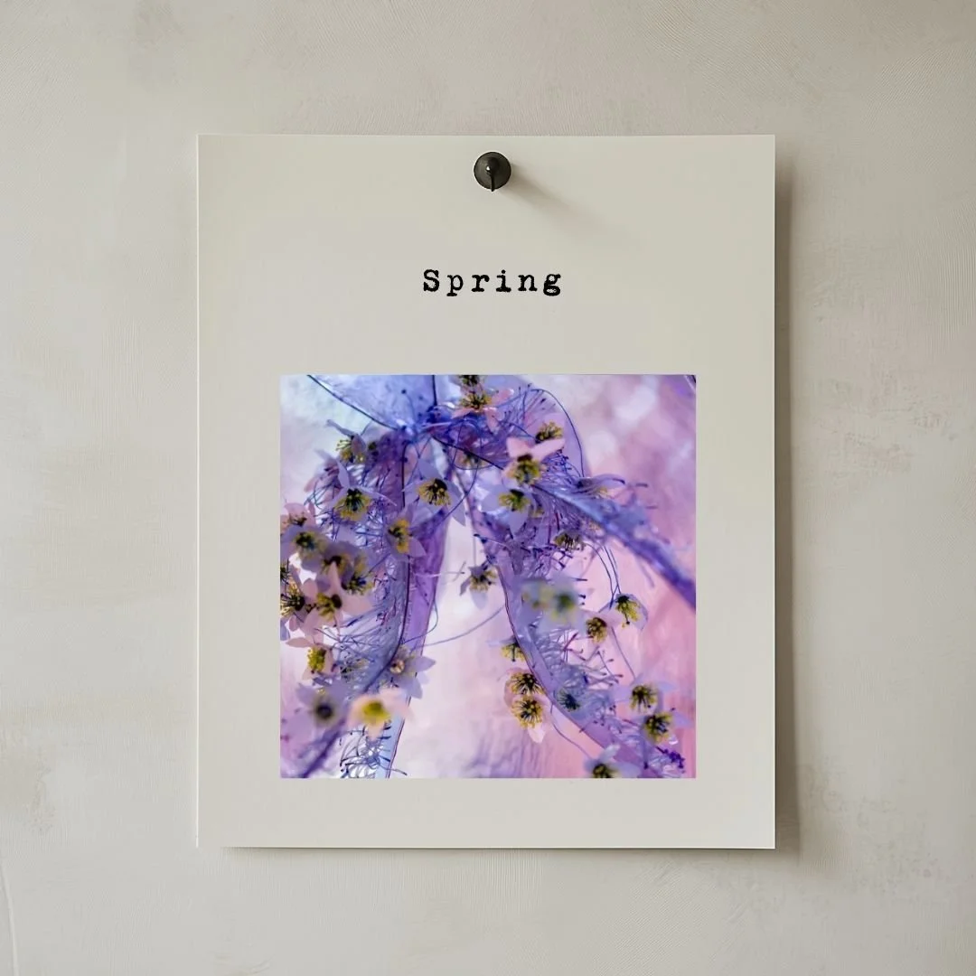 Spring