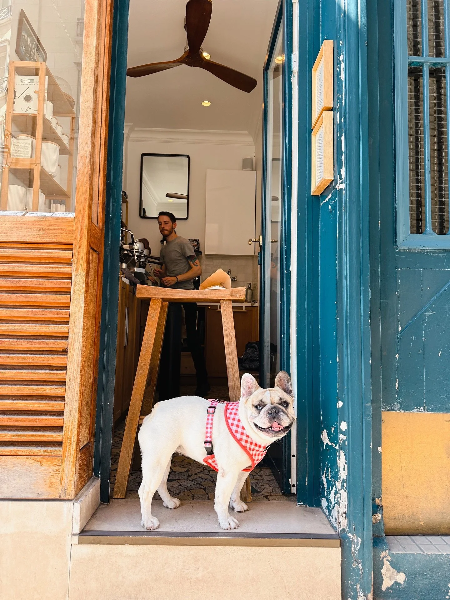 Day Four: Latin Quarter, &Icirc;le Saint-Louis, and the Louvre Gardens

9:00 AM &ndash; Start at @cafekitsune inside Palais Royal. I consistently return here for their chai latte, and Palais Royal is one of the best morning walking spots in the city.