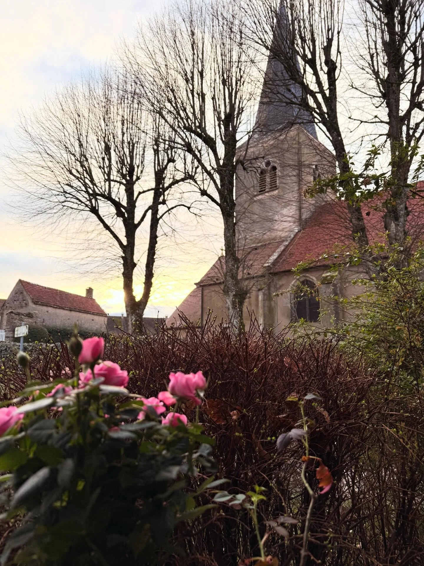 Swipe to see the images - don&rsquo;t miss the one where the cow 🐮 kisses Pearl 🤣🤣. A few unedited sweet moments, mostly of the girls, at @chezhiggs. 🐶🐾🐶🐾

This isn&rsquo;t at my house in Bretagne&hellip; this is a little countryside cottage i