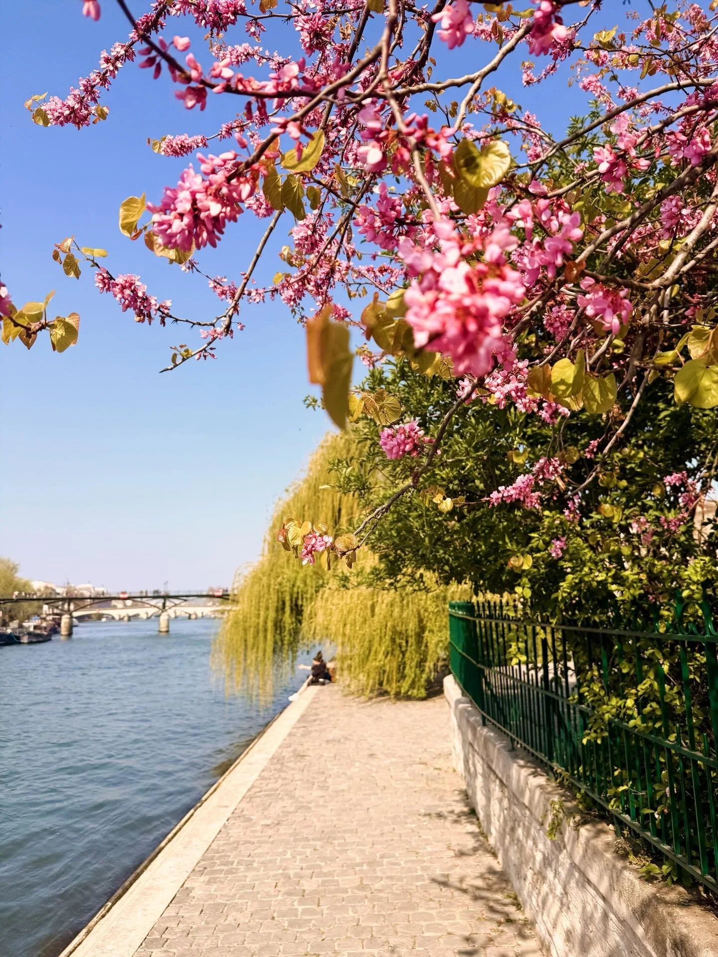 Tips for you! This is your annual reminder that April and May in France are full of holidays, which can impact your trip if you&rsquo;re not aware of them.

Are you planning a trip to France this spring or early summer? If you have questions, drop th