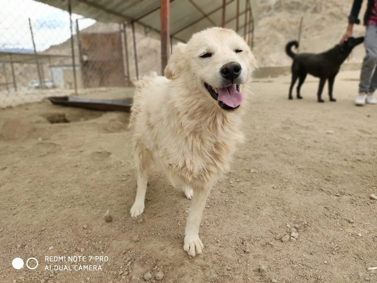 WhatsApp Image 2019-11-13 at 4.09.17 PM (1).jpeg