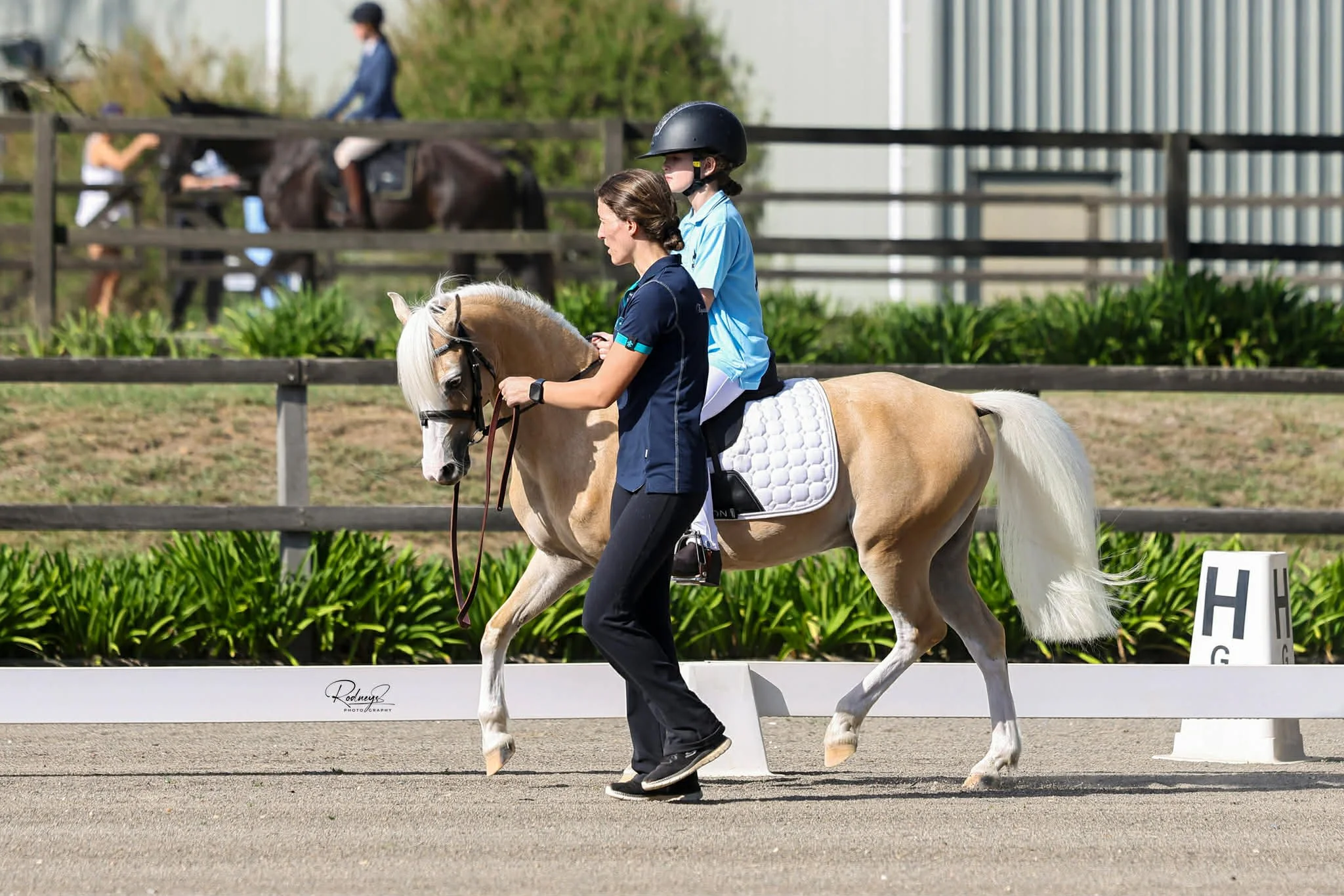 Patty The Pony Dressage