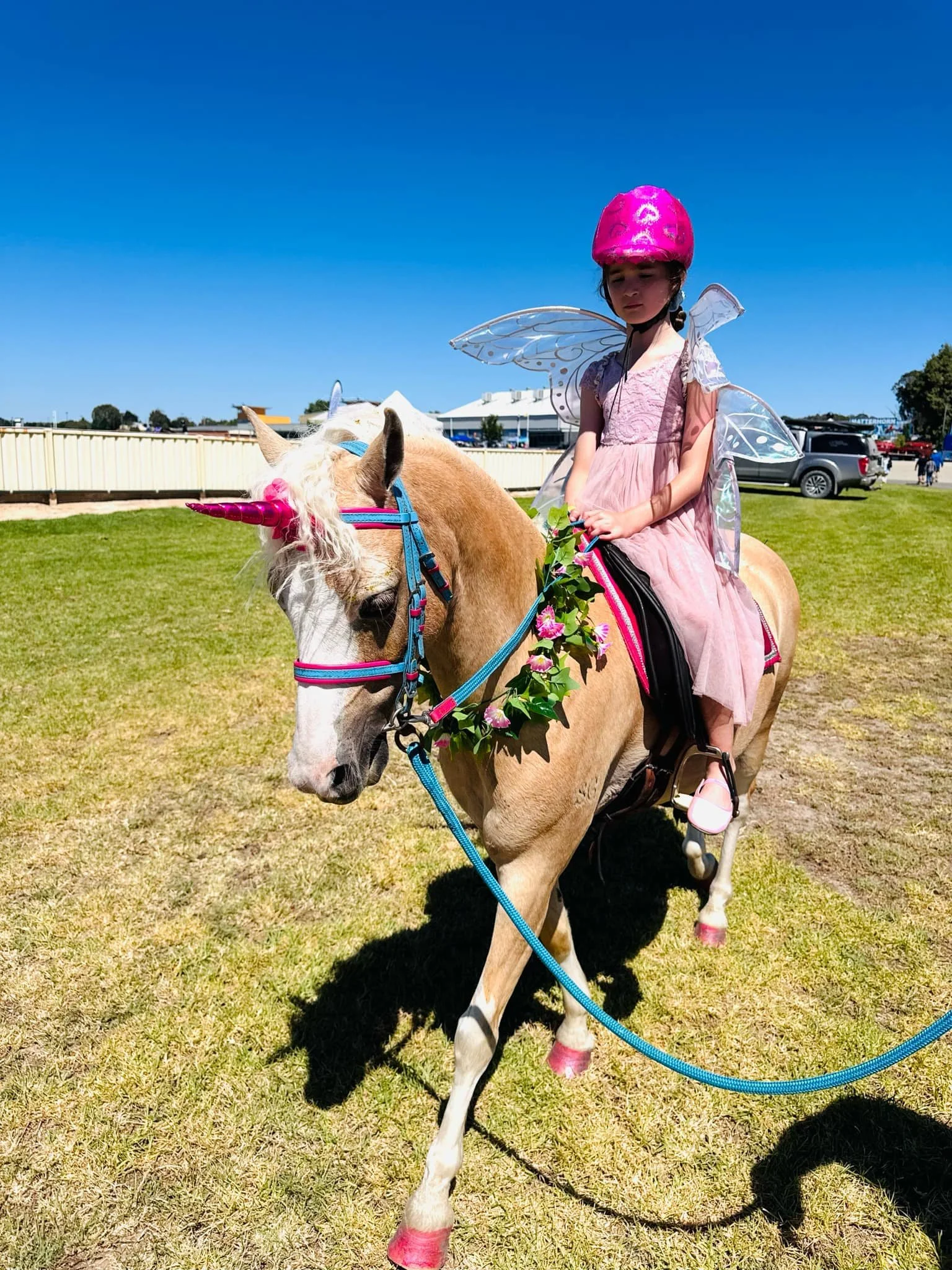Patty The Pony Unicorn Themed
