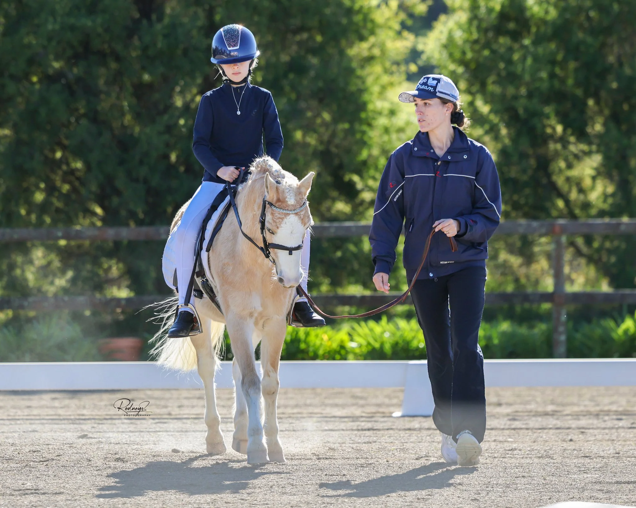 Winter Shibumi 2026 Patty The Pony and Evie Dressage