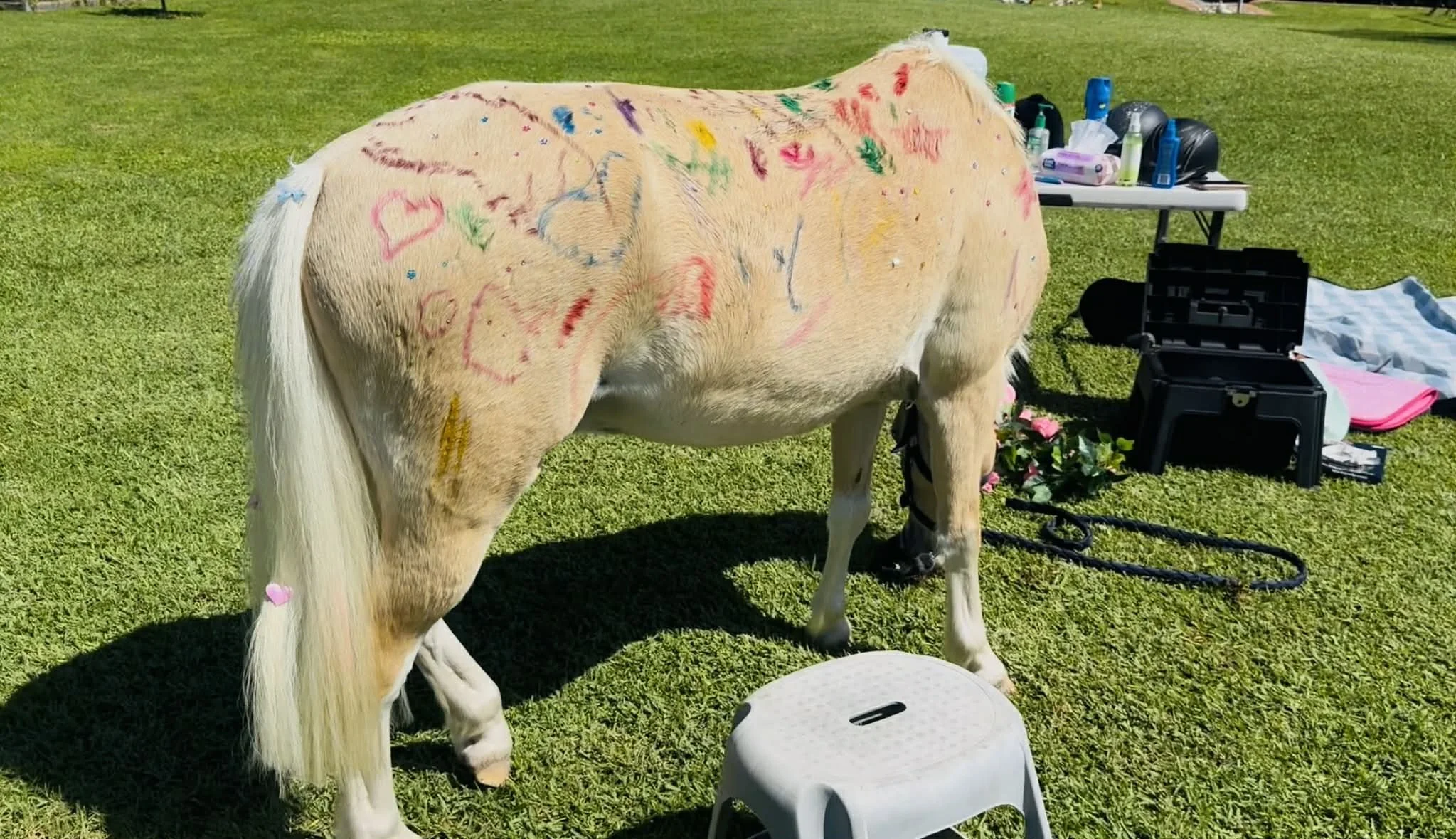 White horse with colorful drawings and hearts on its body standing on grass near a table with bottles and supplies.