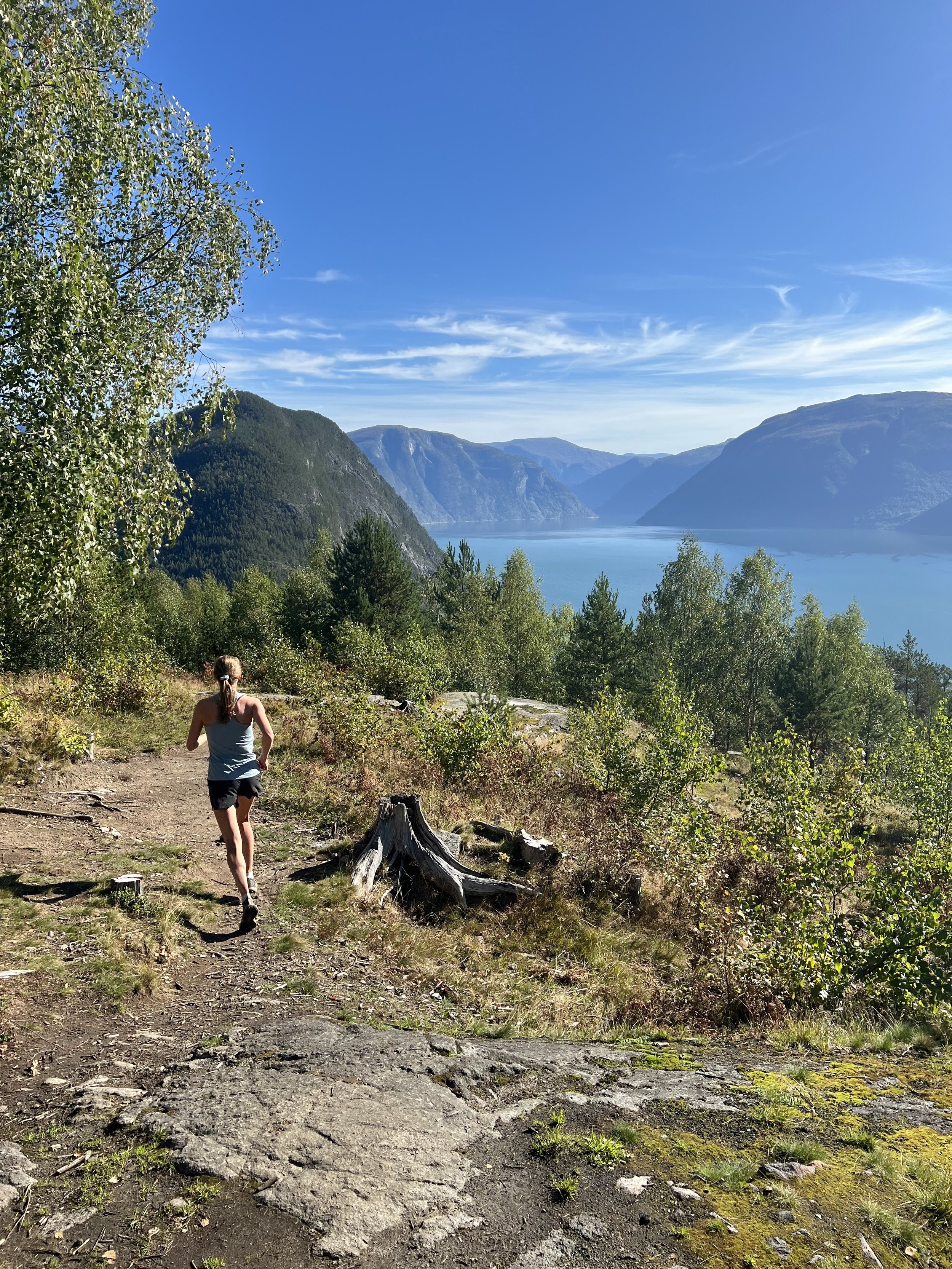 Woman trail running in a scenic mountain landscape with a view of a fjord and surrounding greenery under a clear blue sky. Sognefjorden / Lustrafjorden / Sognefjord / Lustrafjord / Strandafjord