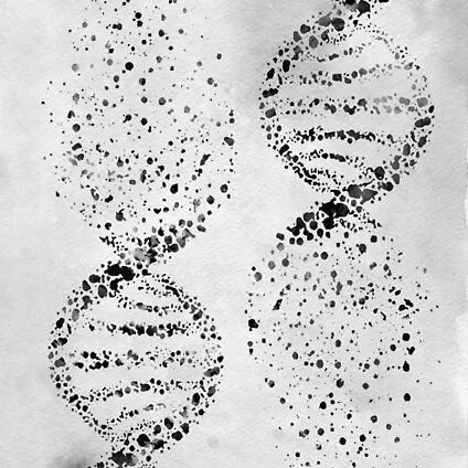 DNA Testing in Practice