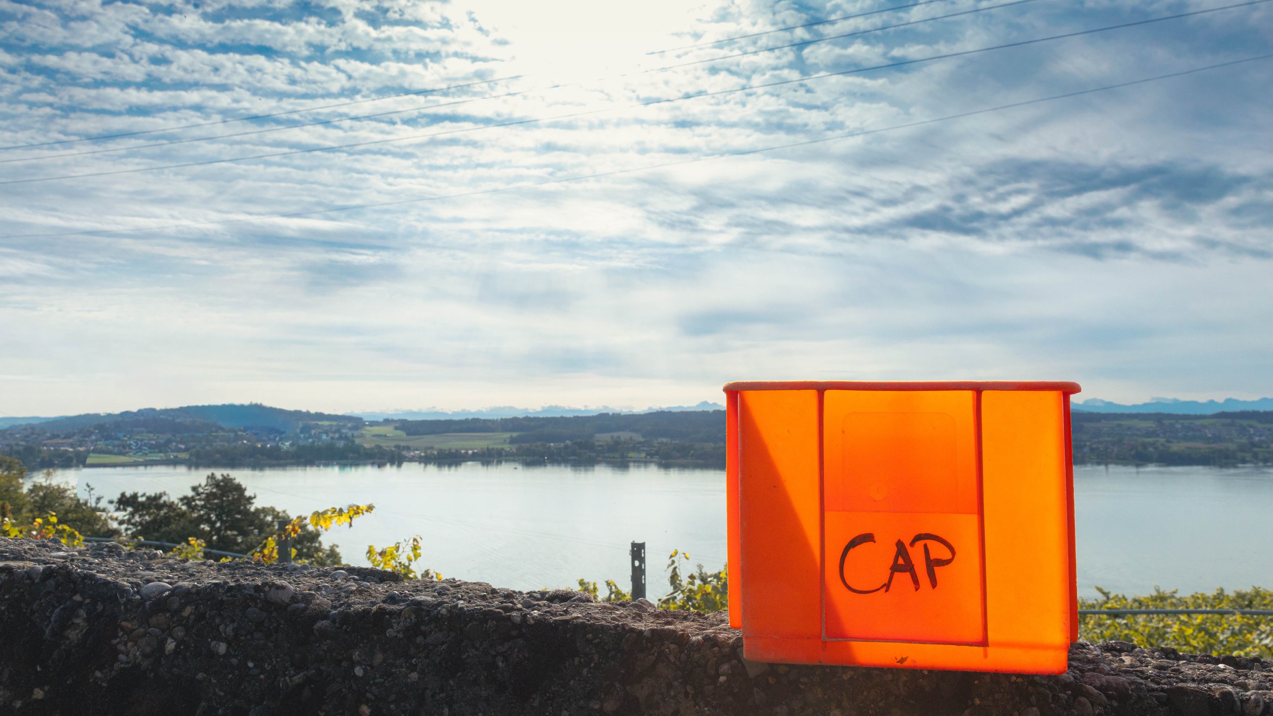 Maison Cap - Vendange 2025