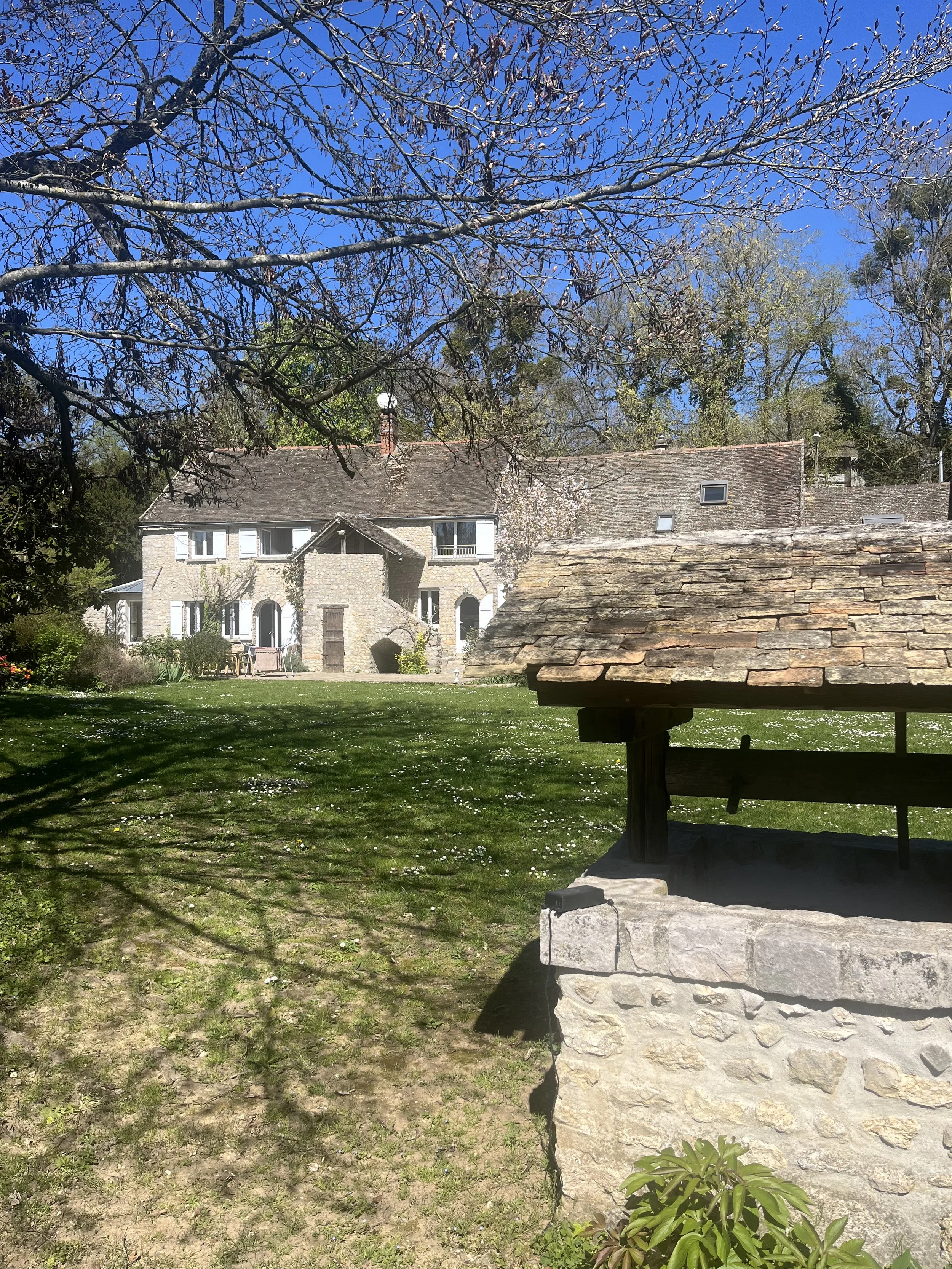 Nature &amp; lâcher-prise 🌿