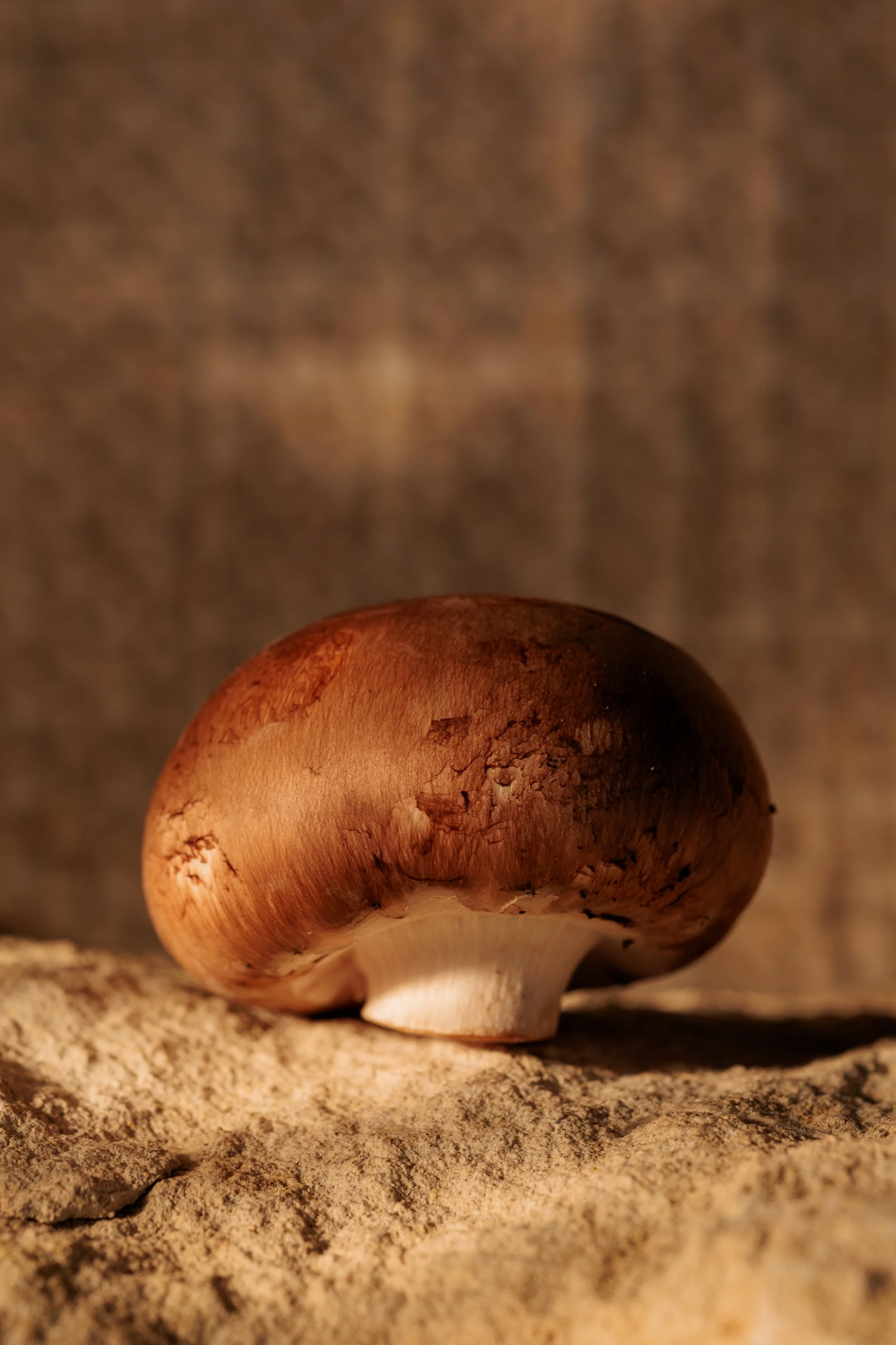 Jurgen Holvoet - Food Fotografie - Champignon.jpg