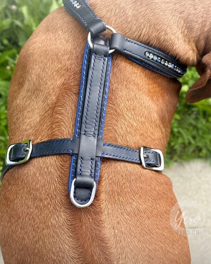 Massgeschneidertes Hundegeschirr aus Premium‑Rindsleder (Hecht) ✨
 
Ein echtes Unikat – verziert mit einem funkelnden Strass-Inlay und einem kleinen, aber feinen Highlight: einem edlen Keder aus Pythonleder.
 
💡 Das Hecht‑Stück ist ein au