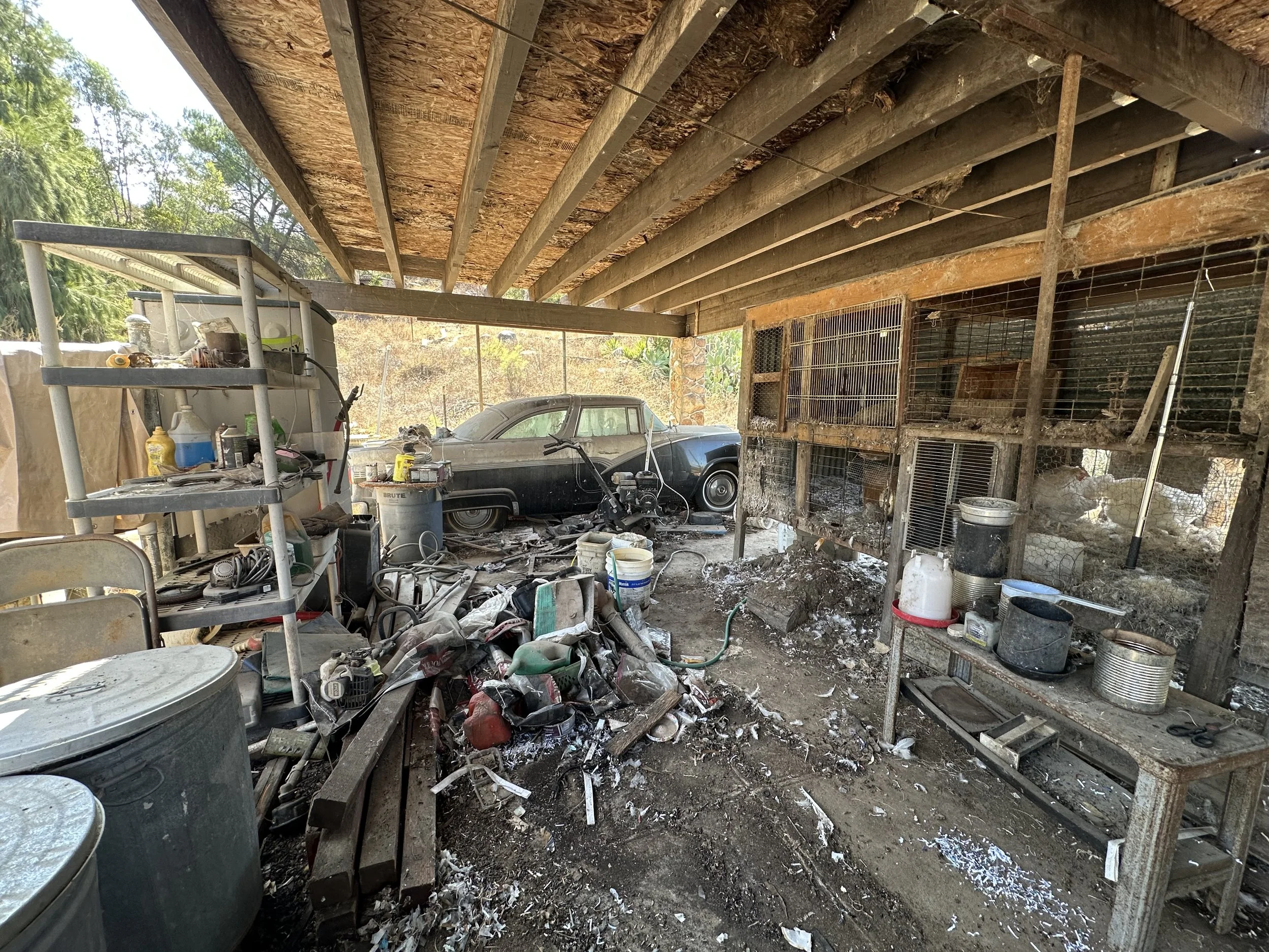 A chicken coop area that needed to be cleaned, lots of debris and critters around.