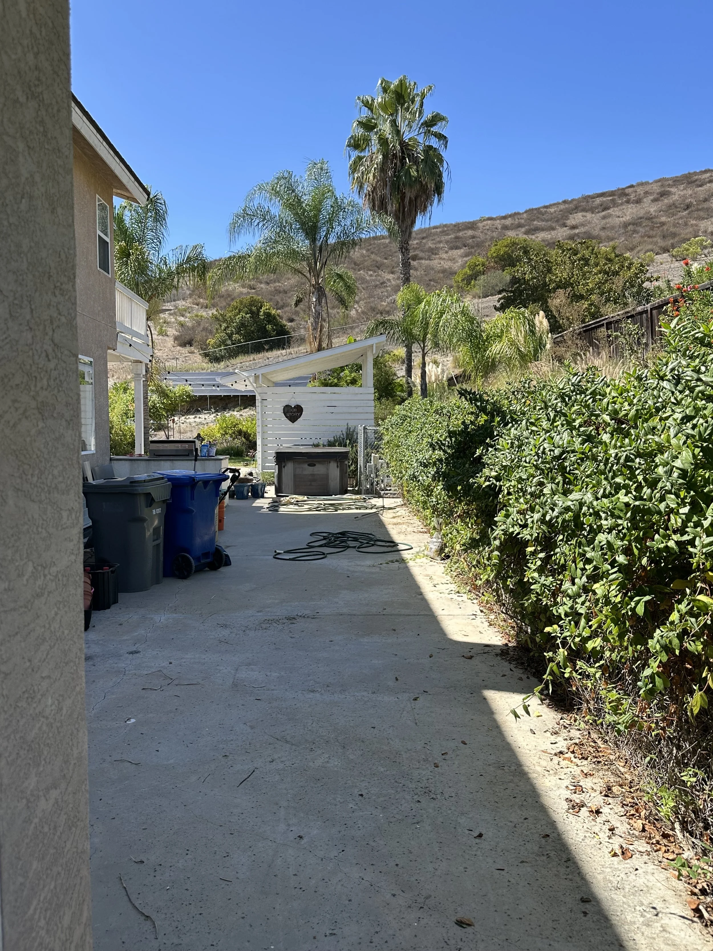 The aftermath of the cardboard box cleanup!