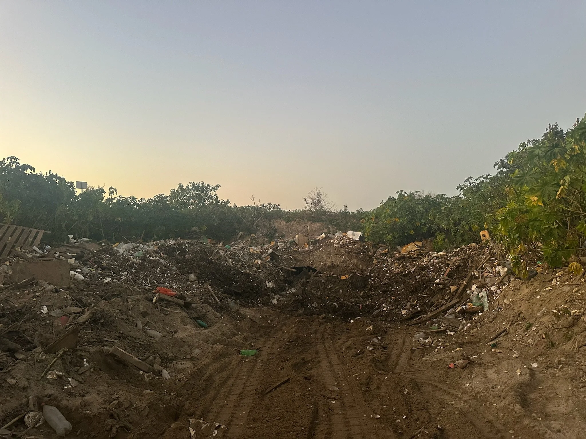 After a solid day of shoveling all the litter, we brought in a Dingo.