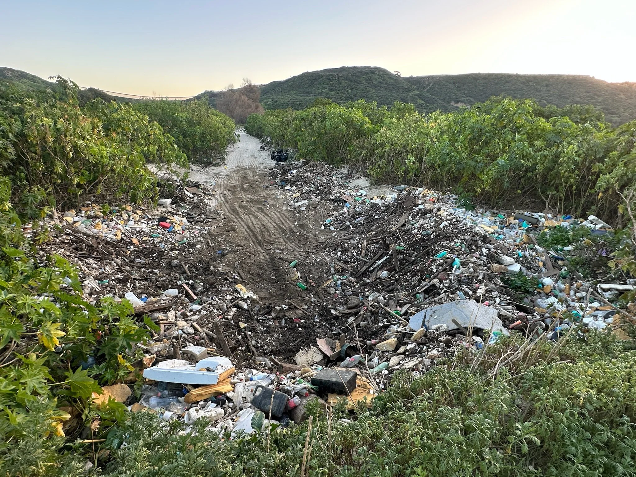 We Cleared Out The River Bank As Best As We Could For The County of San Diego