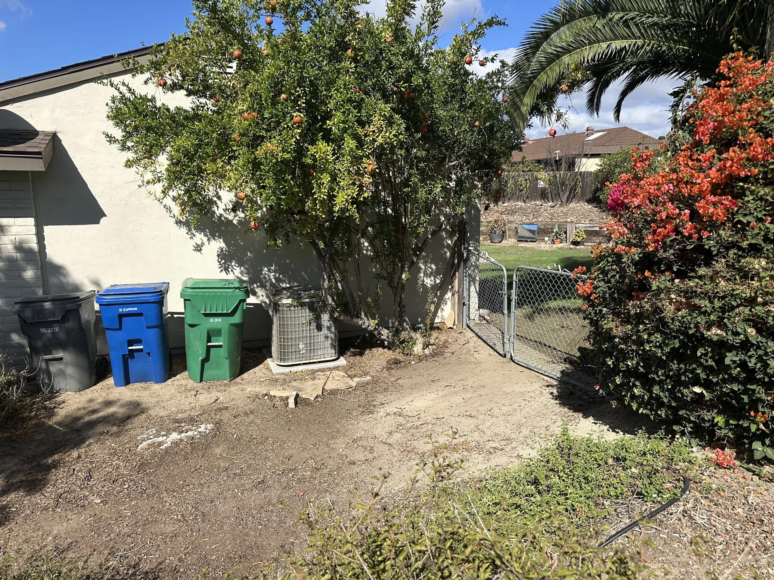 The ball of roots has been removed.