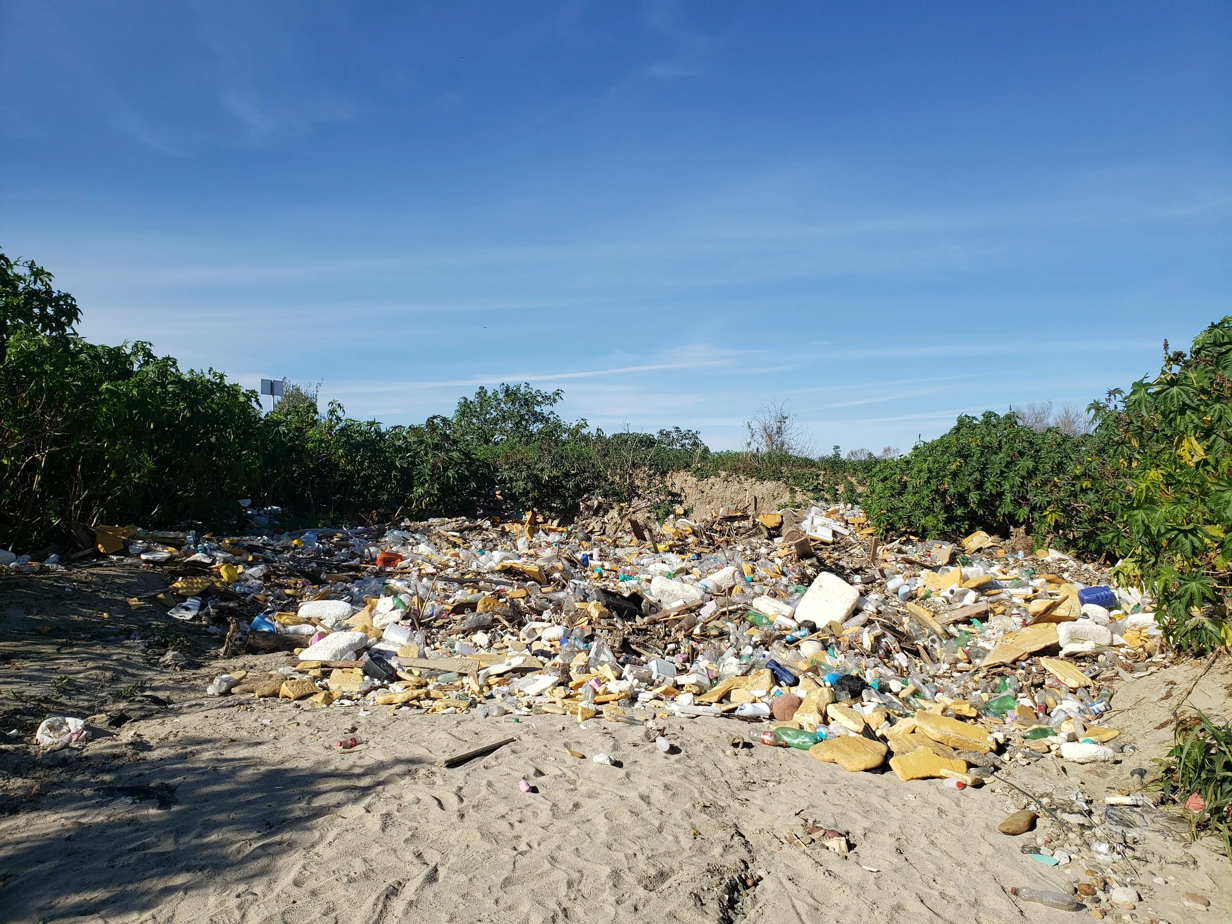 A large pile of mixed Litter.