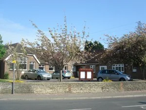 Street view of a residential neighborhood with trees, cars parked along the road, and houses in the background under a clear blue sky.