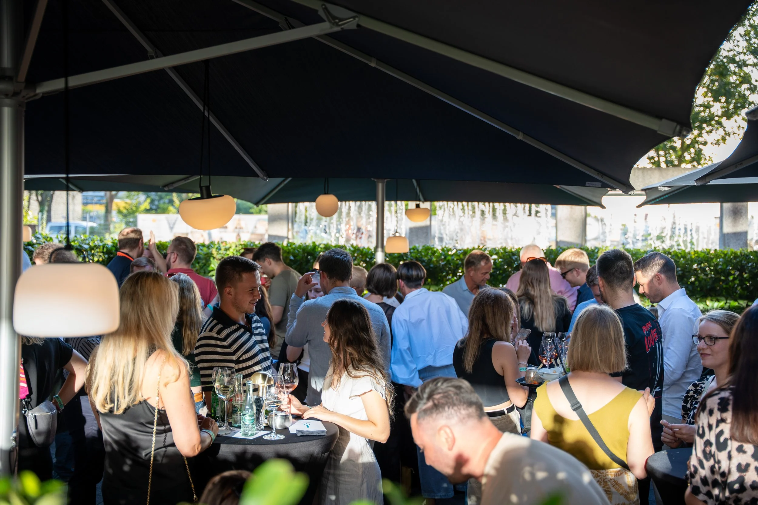 Olbrick Summer Night