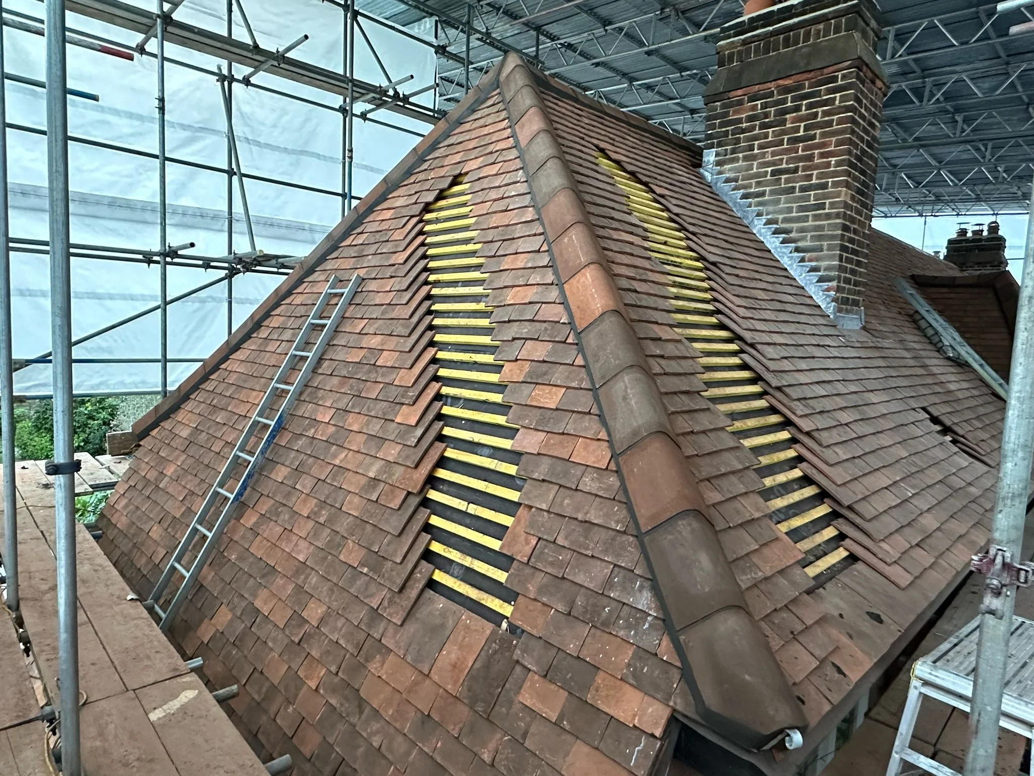 WhatsApp Image 2025-03-13 at 12.30.41.jpeg