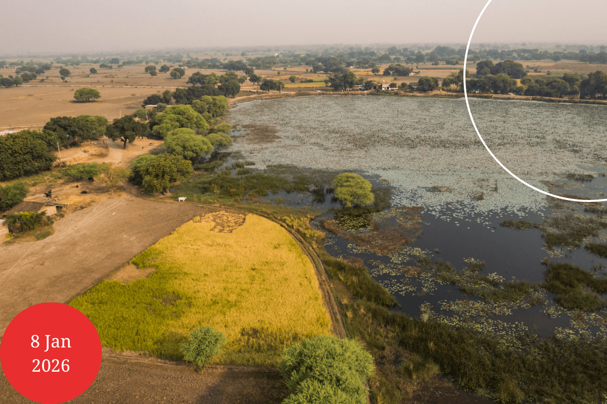 Farming Reimagined: A Rural Movement Redefining Agriculture in Maharashtra&nbsp;