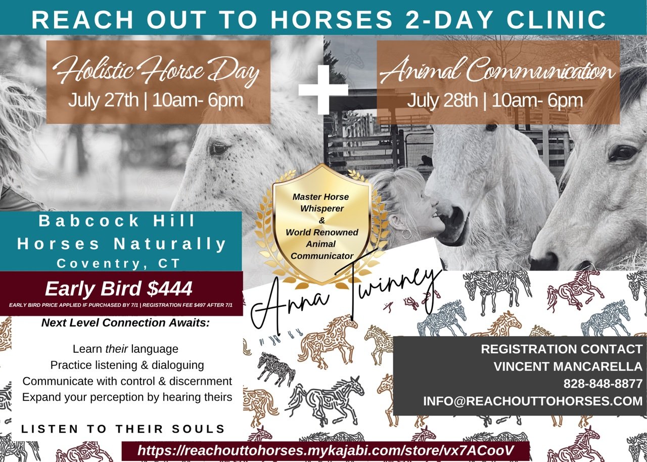 DAY ONE: HOLISTIC HORSE DAY