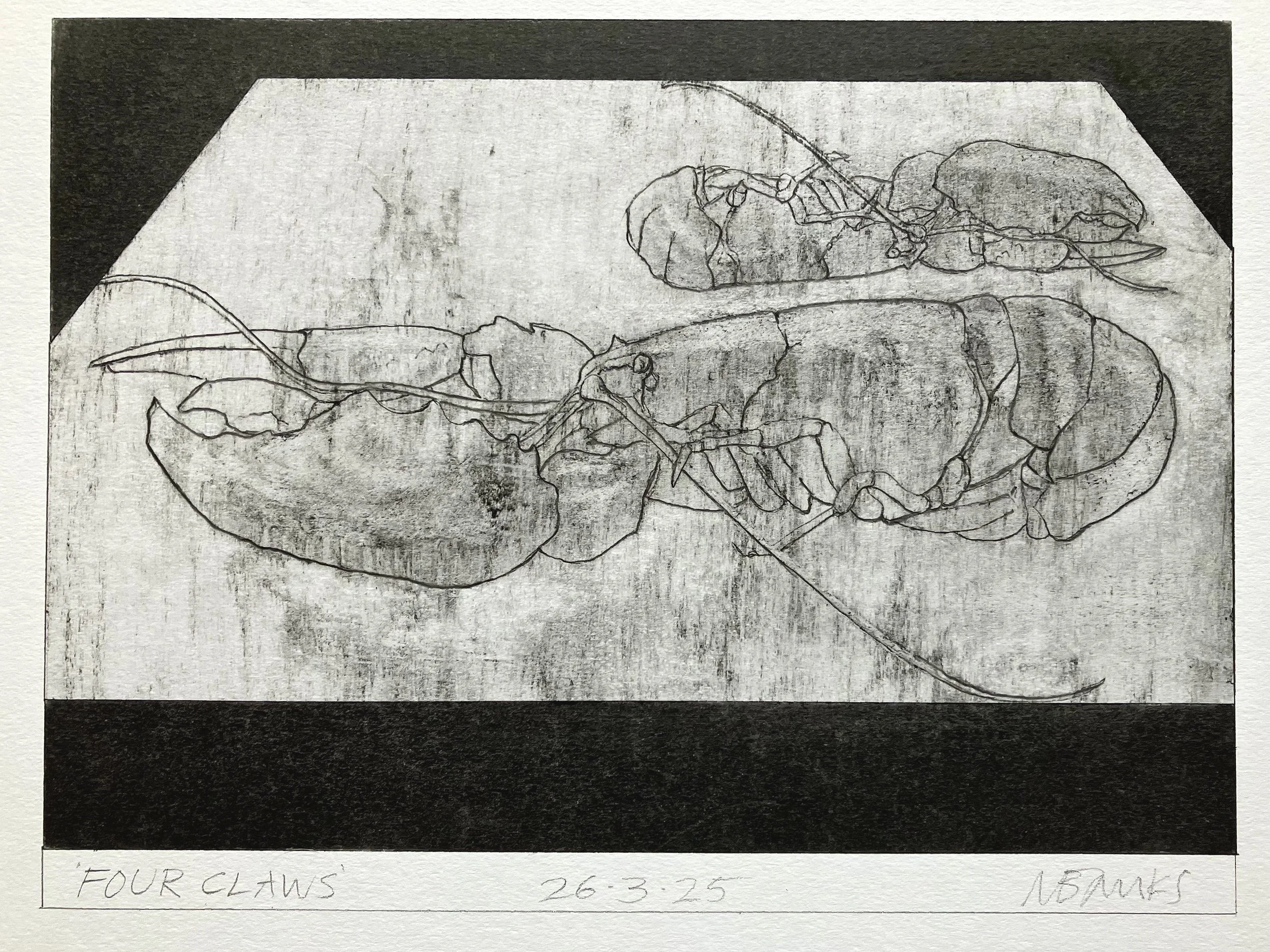 'Four Claws' 2025. Pencil on paper 21 x 16 cm