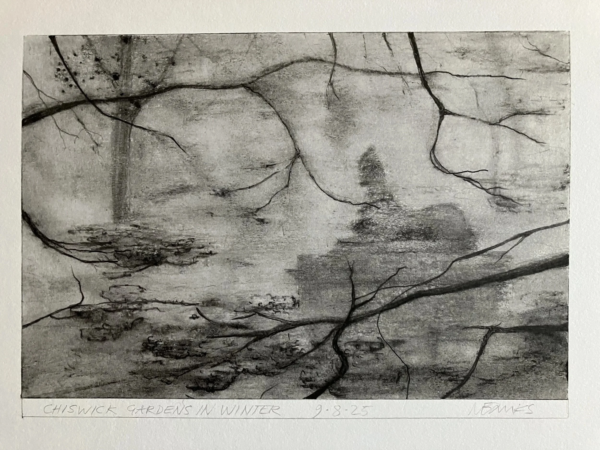 'Chiswick Gardens in Winter' 2025 Pencil and Graphite on paper. 21 x 15 cm