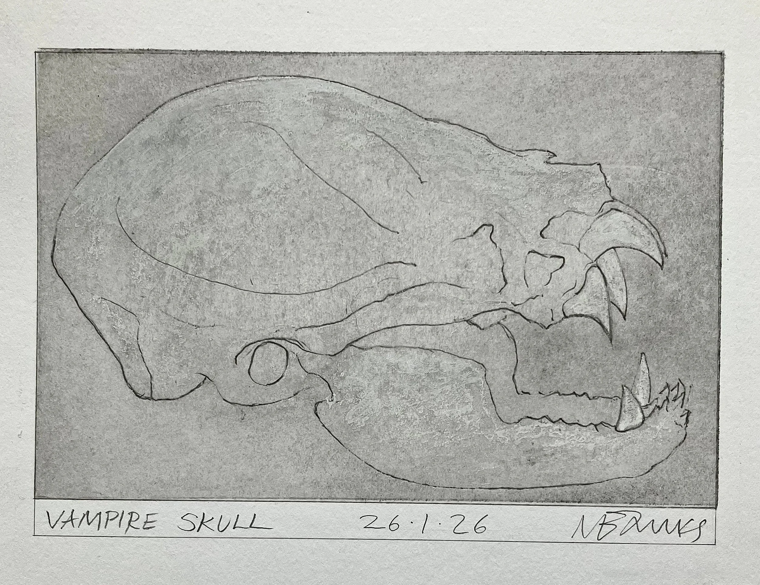 'Vampire Skull' 2026.  Pencil and ink on paper
15 x 10 cm