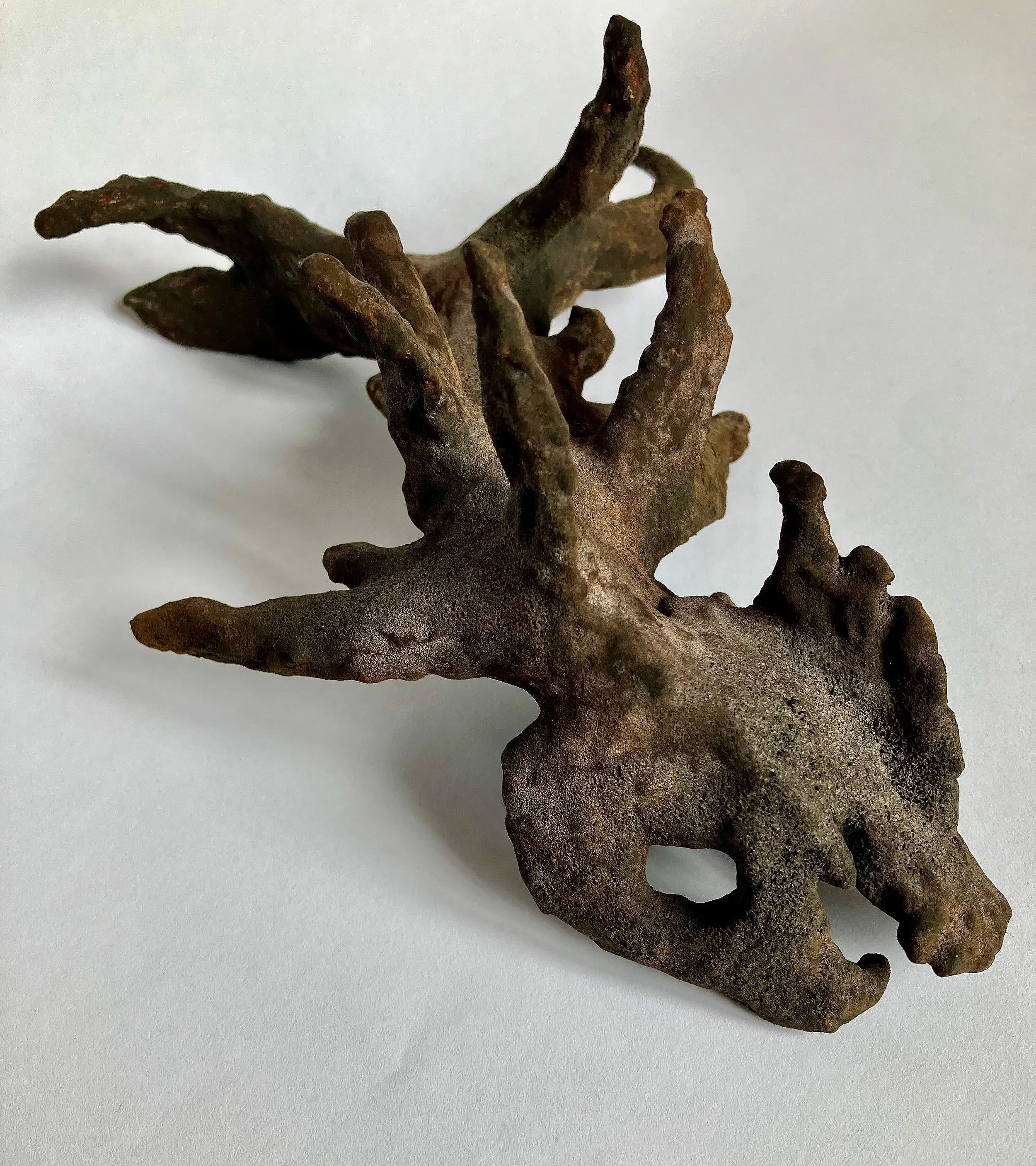 'Dead Coral Fish' 2026. Mixed Media 
28 x 18 x10 cm