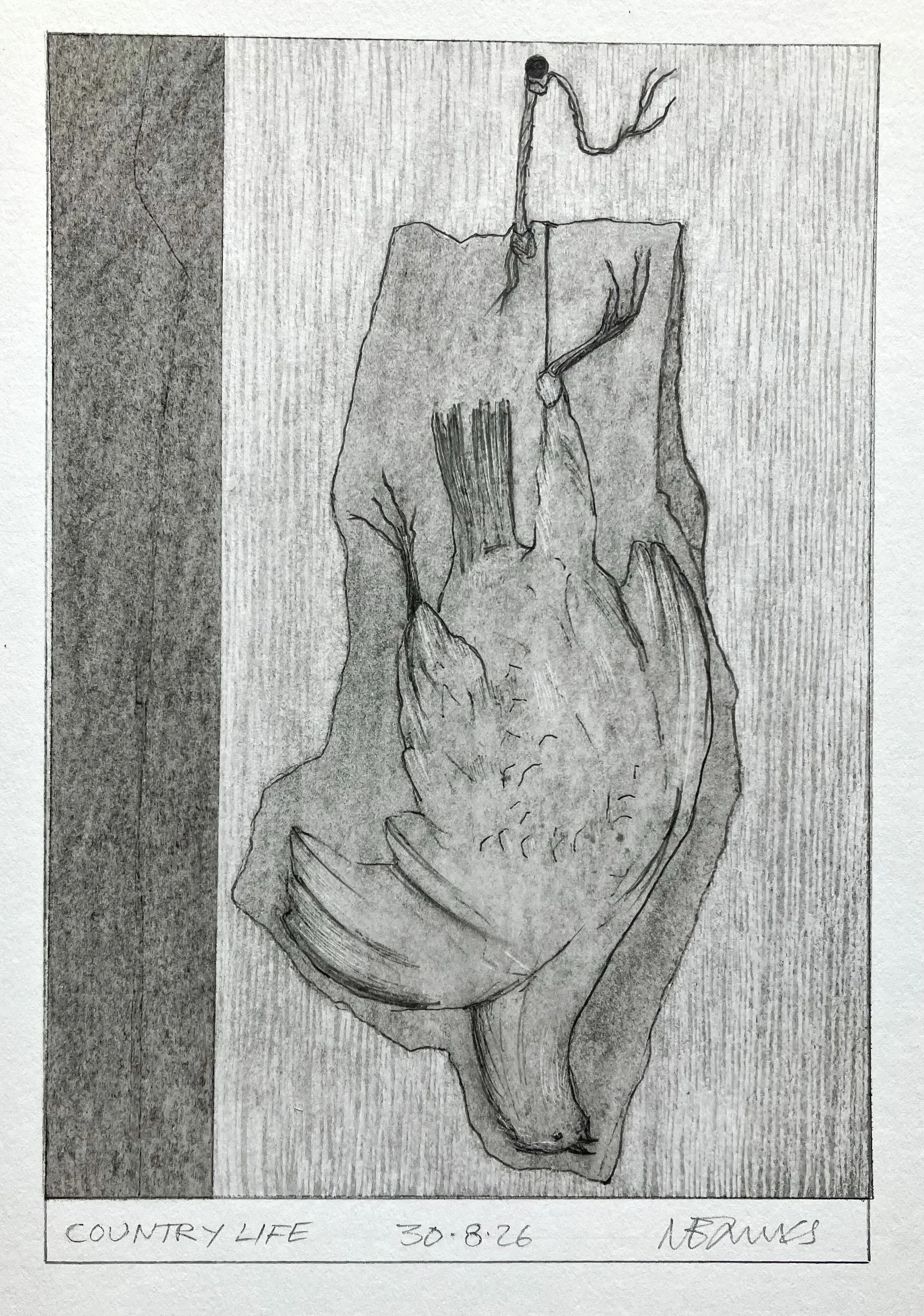 'Country Life' 2026 Pencil on paper  19 x 13 cm 