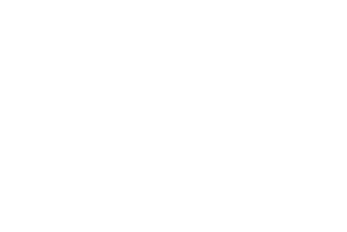 EnterpriseIreland.png