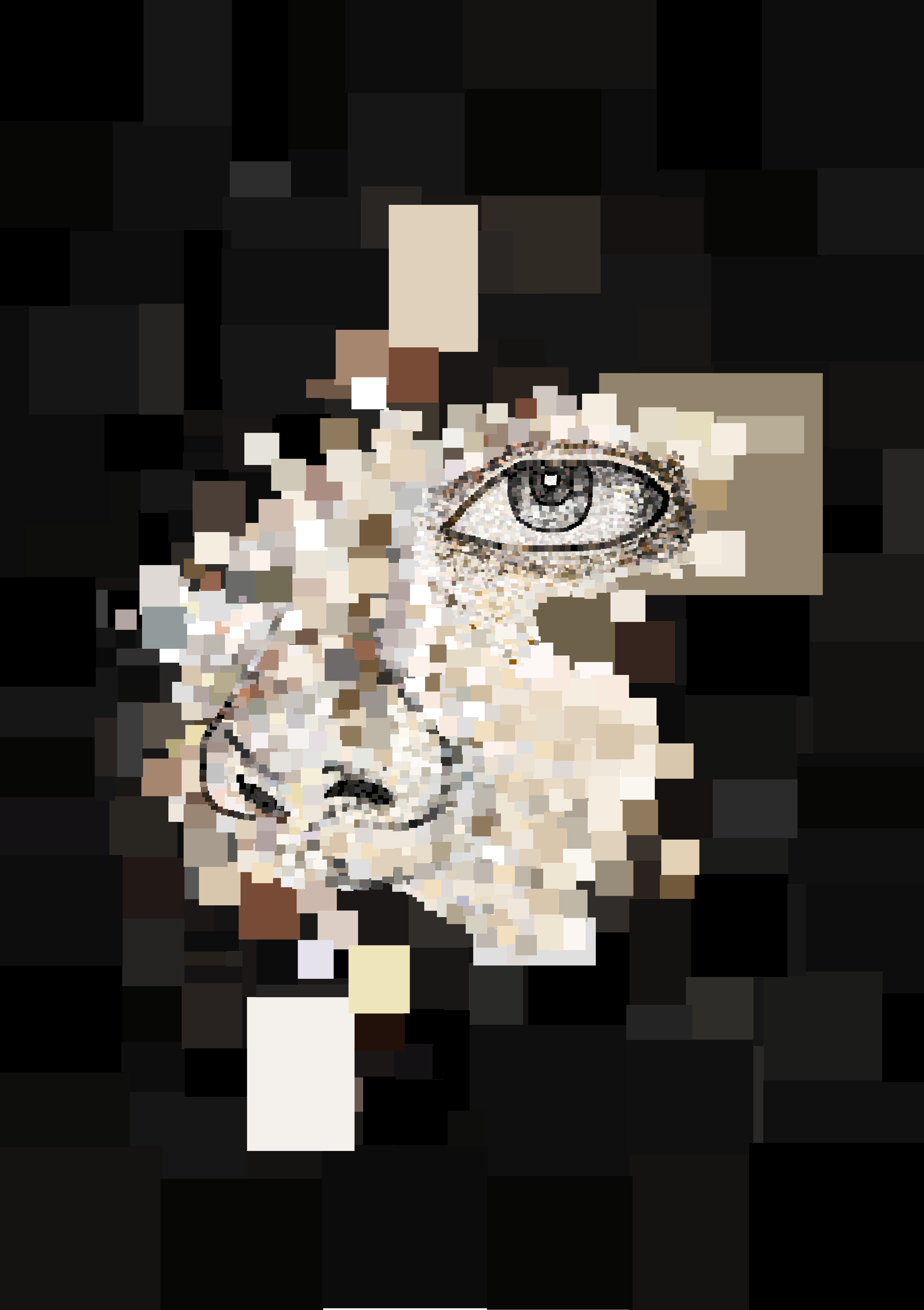 Fragmented Reflection 