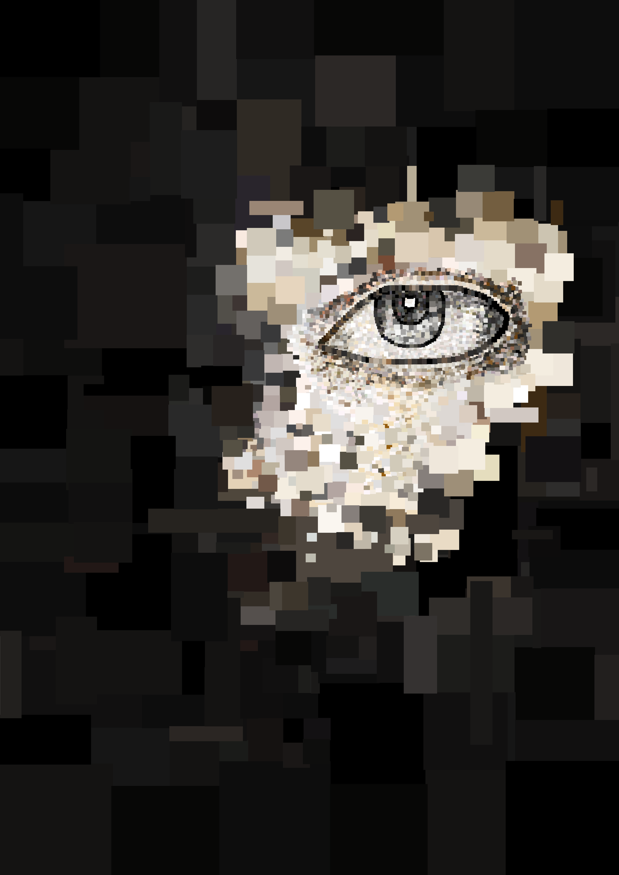 Evolving Gaze 