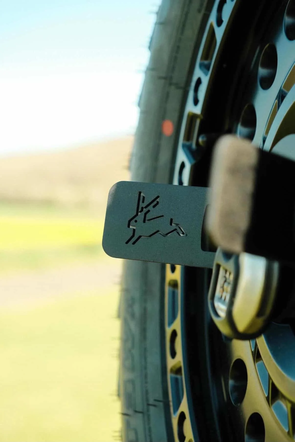 Colehill Customs