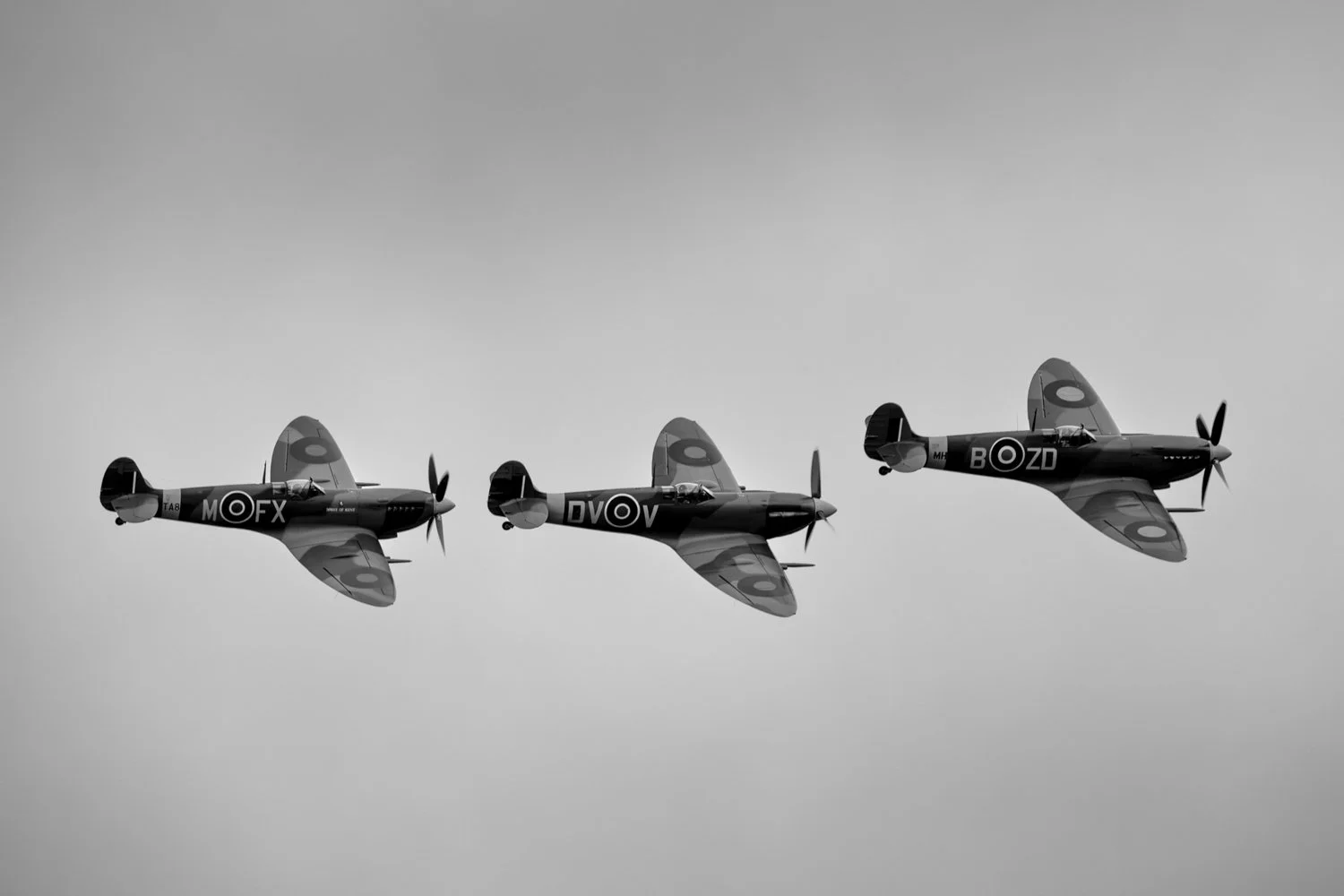 J Ashworth Photo_Revival '26_059.jpg