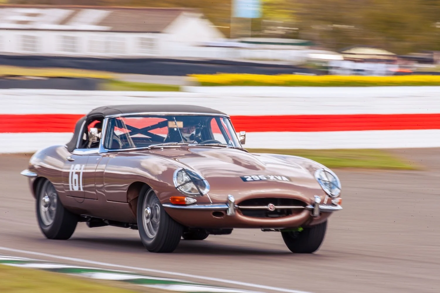 J Ashworth Photo_83MM 2026_204.jpg