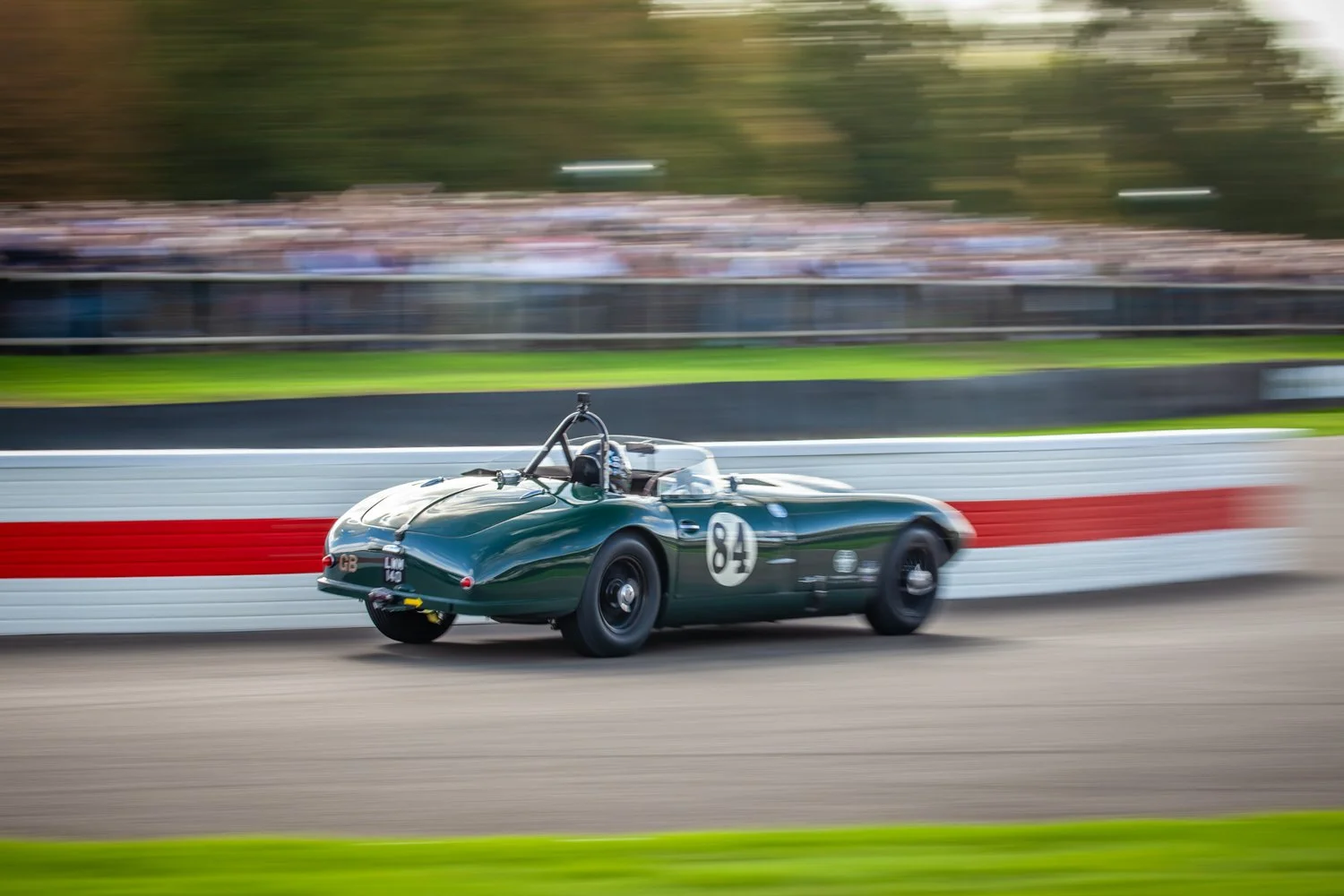 J Ashworth Photo_Revival '26_182.jpg