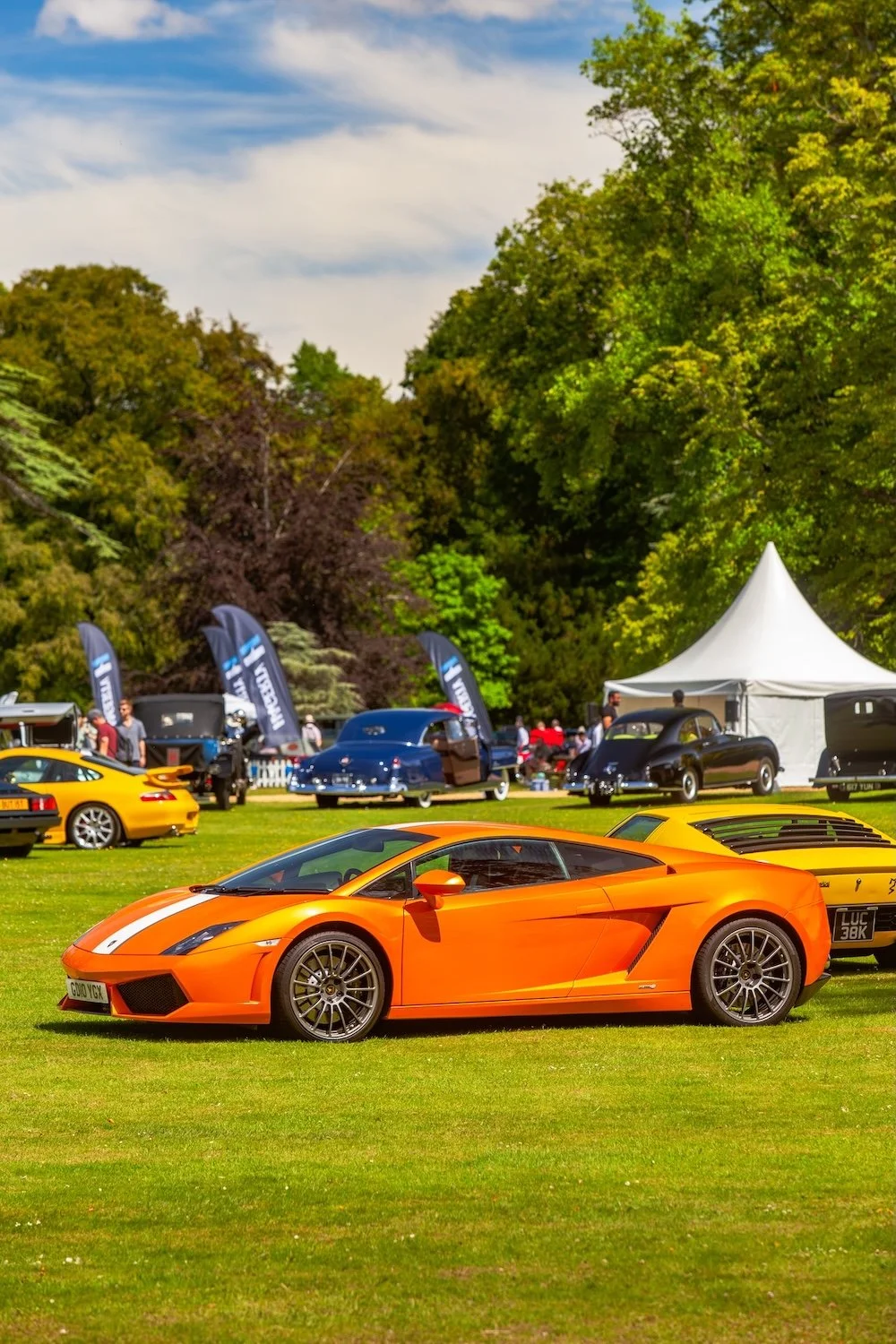 IMG_9183.jpg