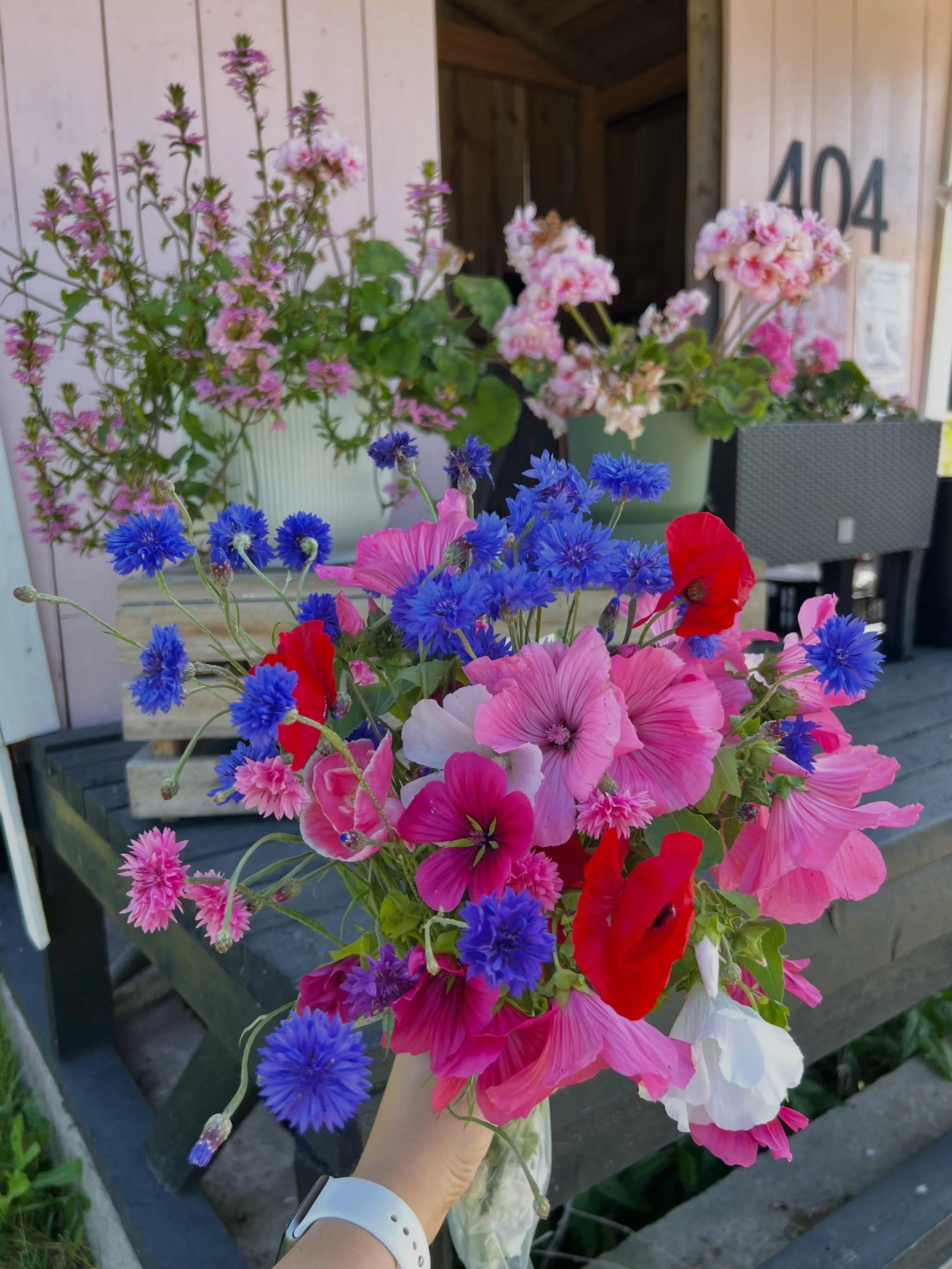 Tunti sitten ker&auml;tty kukkakimppu (mun lempparit) niitylt&auml; 🥹🌸🌾 Tooosi moni on laittanut viesti&auml; ja kysellyt, riitt&auml;&auml;k&ouml; kukkia viel&auml; poimittavaksi. Vastaus on: kyll&auml; riitt&auml;&auml; 😍

Osa kukista alkaa jo 