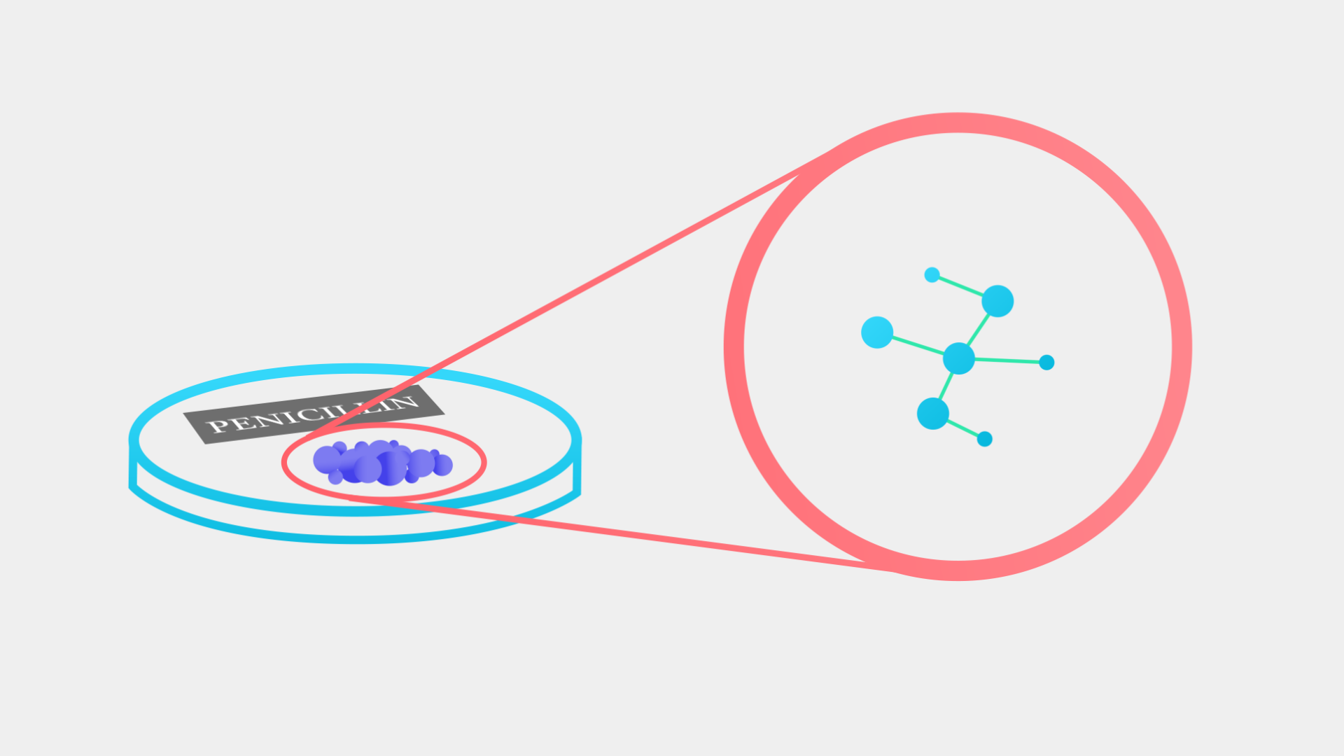 366 The Penicillin Protocol v2 (0-00-55-04).png