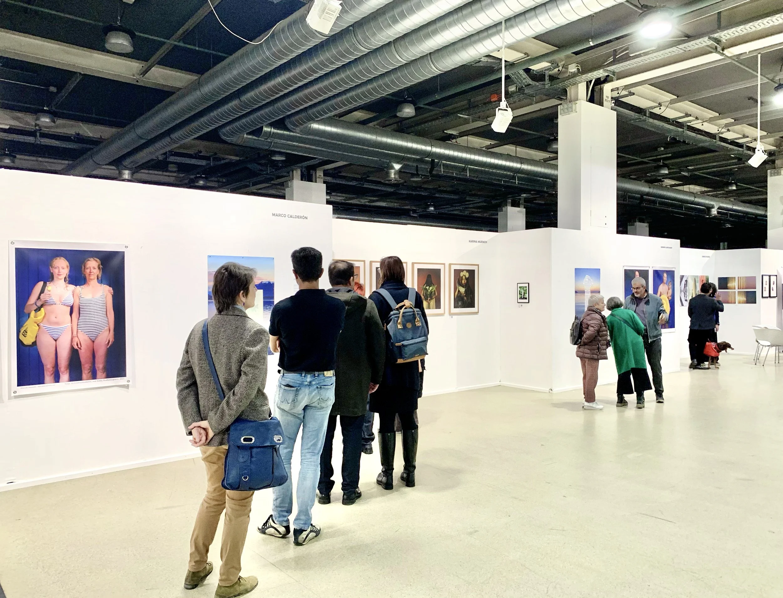 Festiva Art Basel_2025_002.jpg