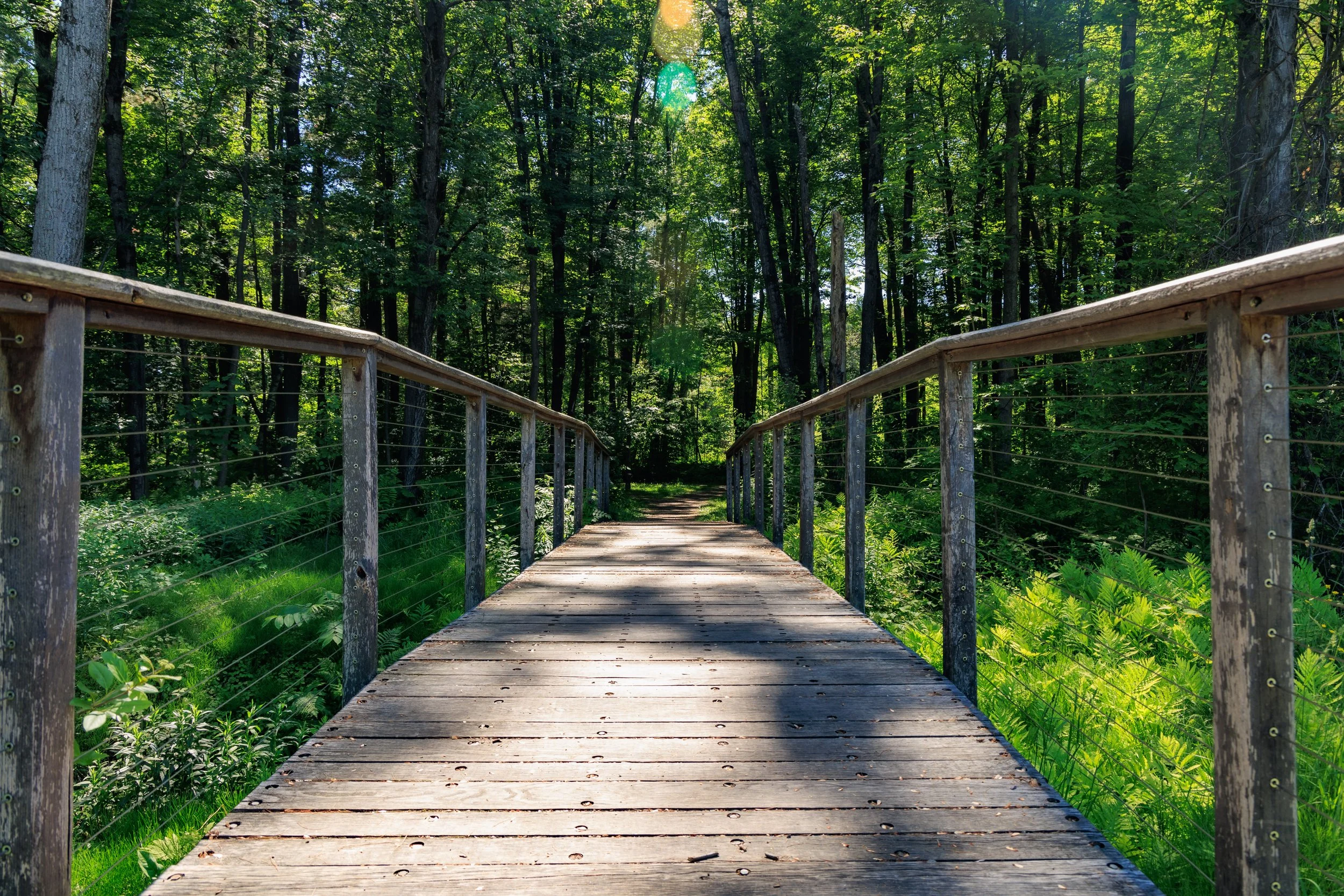 A Day in South Burlington: Slow Mornings, Small Adventures, and Sweet Treats