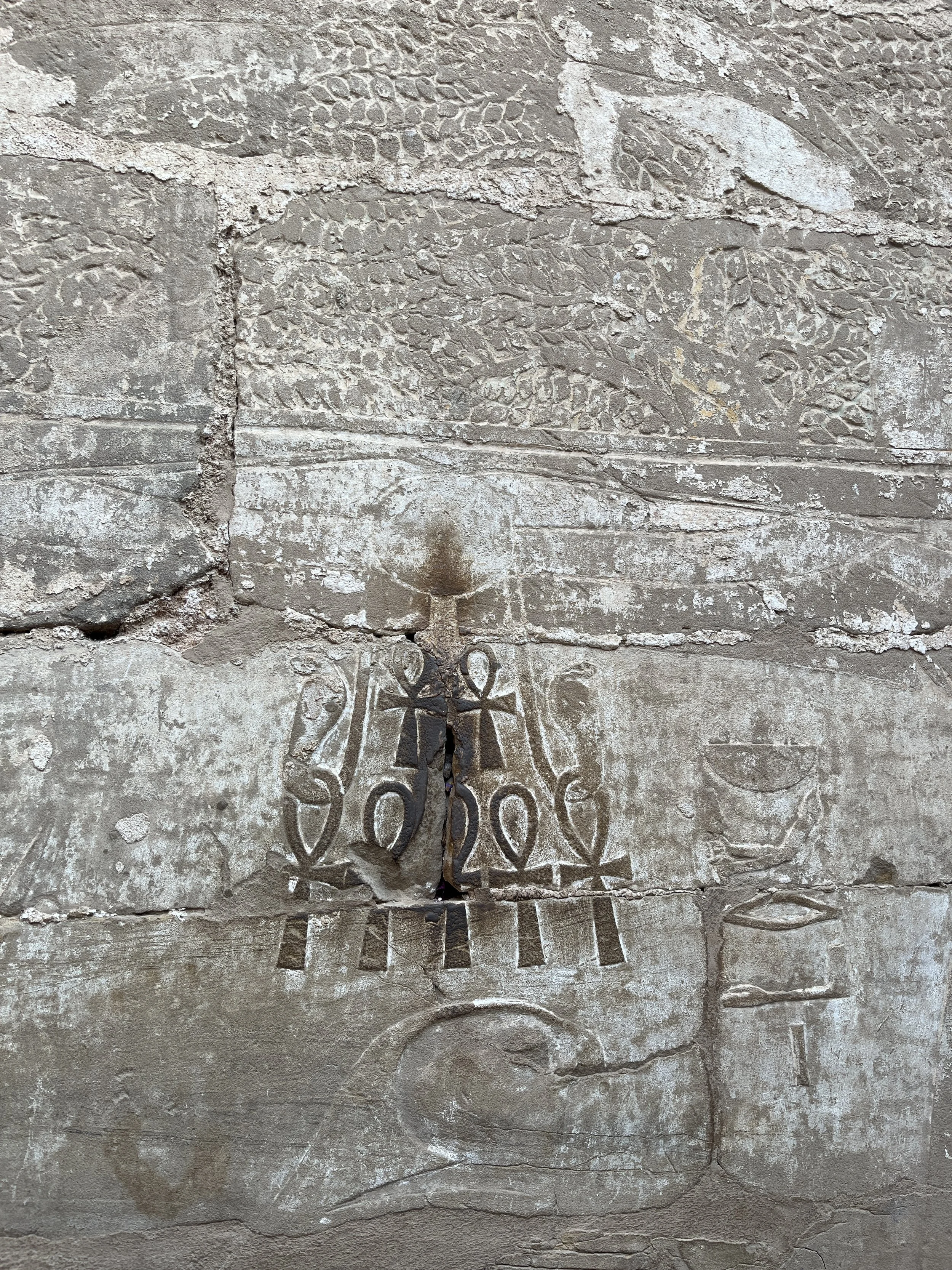 Ancient ankh symbols carved into a temple wall in Egypt representing life force energy and sacred wisdom.