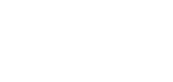 Logo of a physical therapy company named 'Professional Physical Therapy' with a stylized abstract human figure.