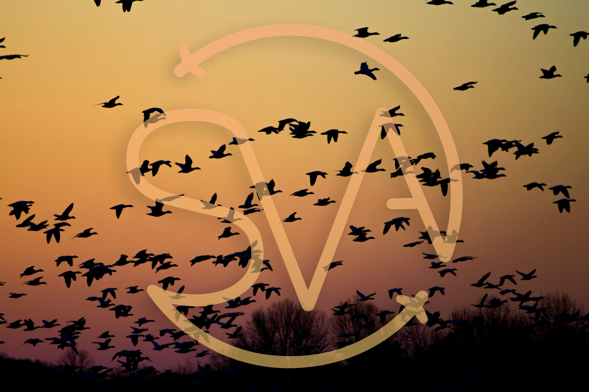 Turbocharging Siam Visa Agency’s Lead Generation