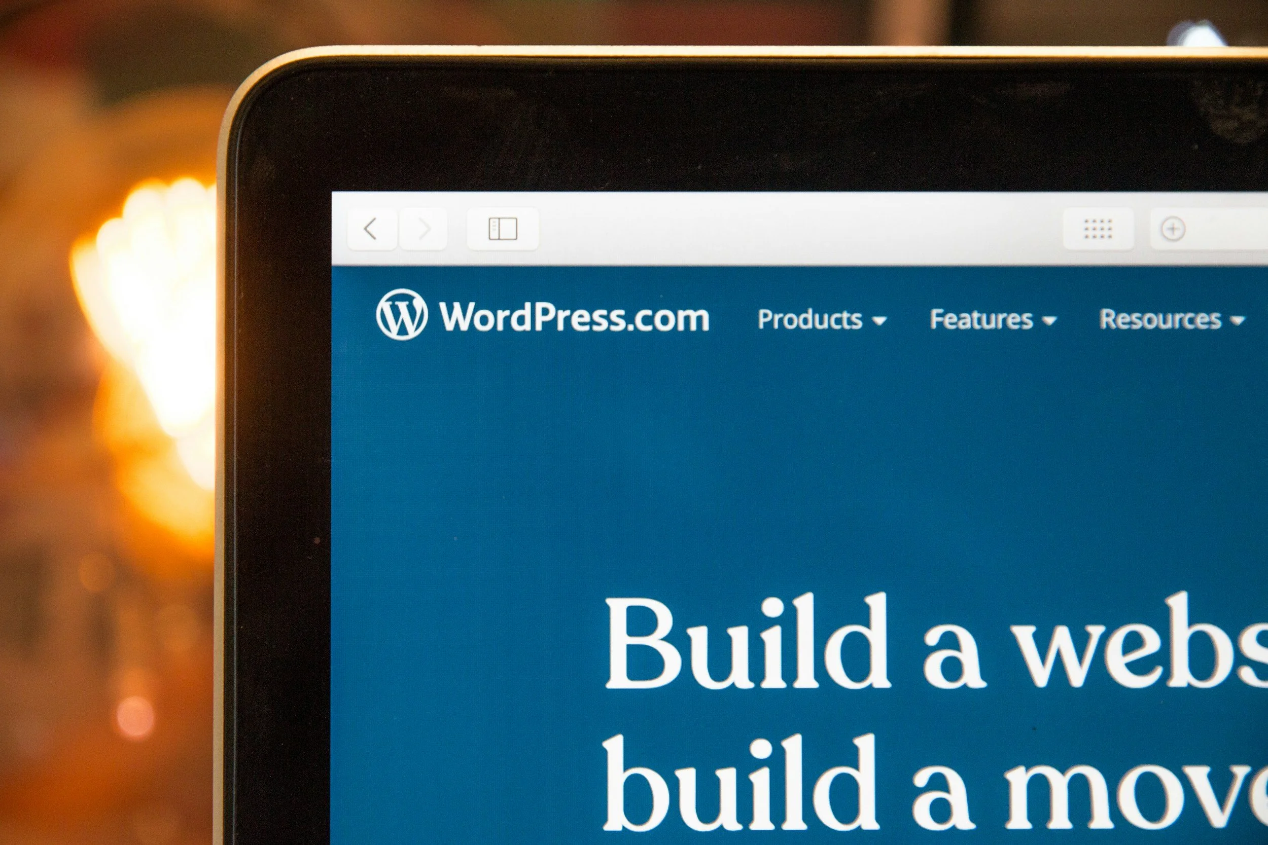 Freelance Wordpress developers