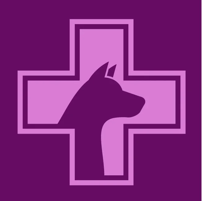 New Paper Published in Veterinary Sciences