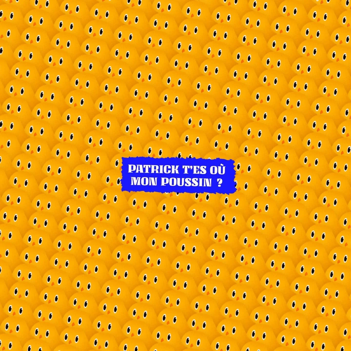 👀🕶️🐥

#illustration #design #dessin #poussin #artwork #chicken #procreate