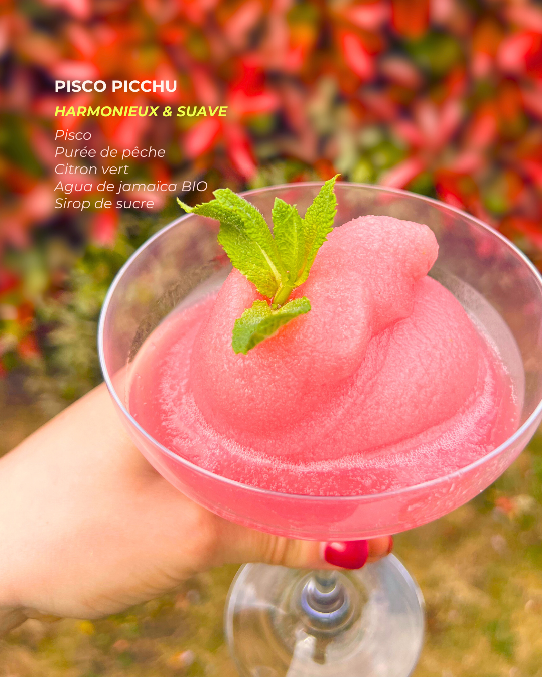 cocktails casa limoncell pisco picchu prestation bar à cocktails.